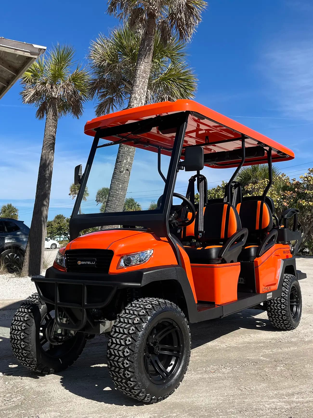 6-Person Premium Golf Cart
